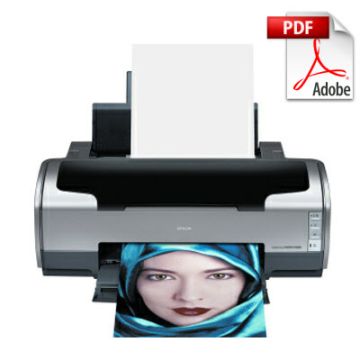 EPSON Stylus Photo R1800 R2400 Service Manual