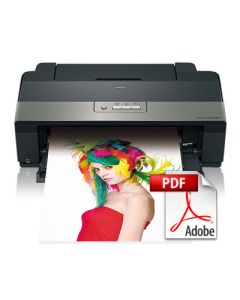 Epson Stylus Photo R1900 