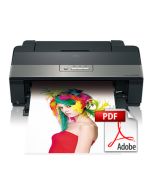 Epson Stylus Photo R1900 